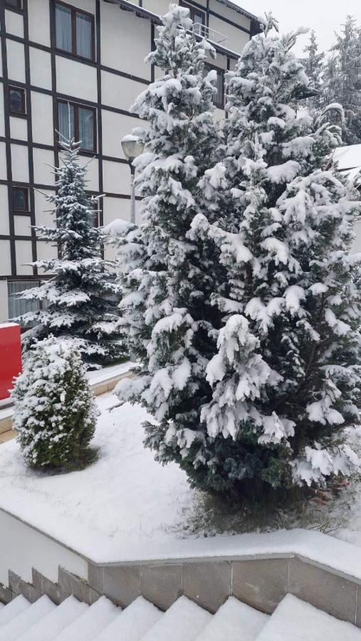 Falling Star Apartman Brzece Brzeće Exterior foto